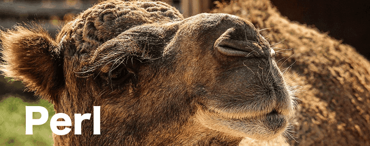 perl