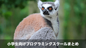 小学生向けプログラミングスクール