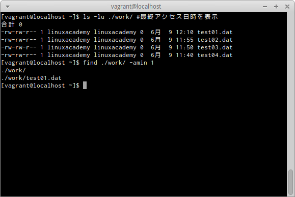 find -aminオプション