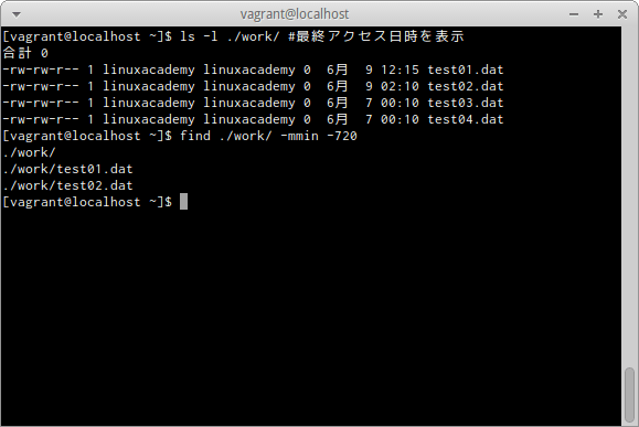 find -mminオプション
