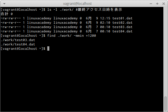 find -mminオプション 3