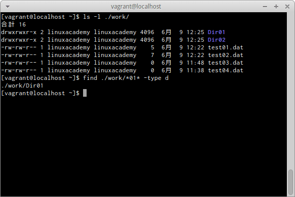 find -type d オプション