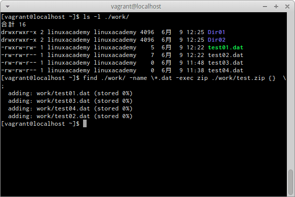 find -execオプション