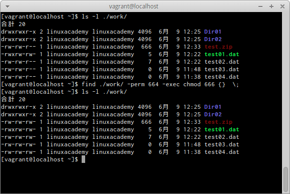 find -execオプション