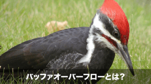 バッファオーバーフローとは