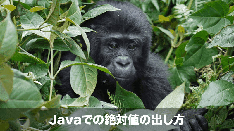 java 絶対値の求め方
