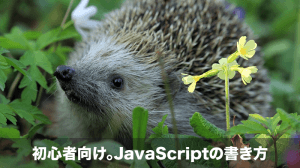 javascriptの書き方