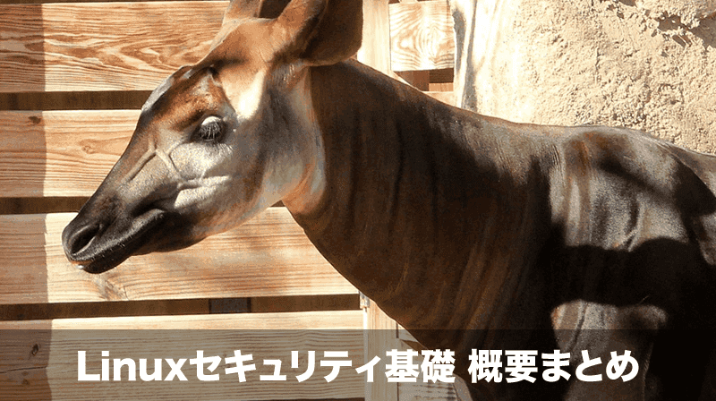linuxセキュリティ