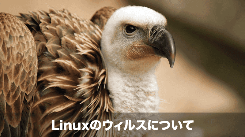 linuxのウィルス対策