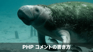 phpコメントアウト