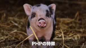 phpの特徴