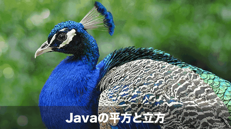 Javaの平方根と立方根