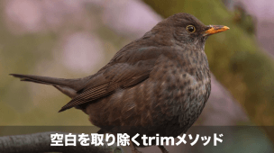 trimメソッド