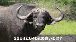 32bitと64bitの違い