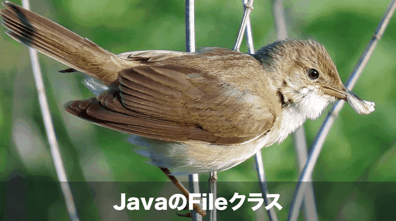 JavaのFileクラス