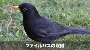 ファイルパスの取得