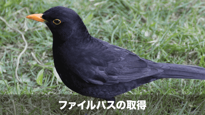 ファイルパスの取得