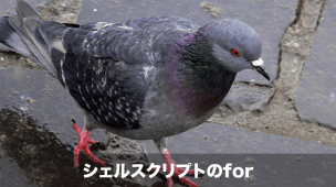 シェルスクリプトのfor