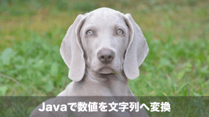 javaで数値を文字列に変換