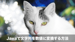 Javaで文字列を数値に変換