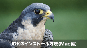 jdk インストール mac編