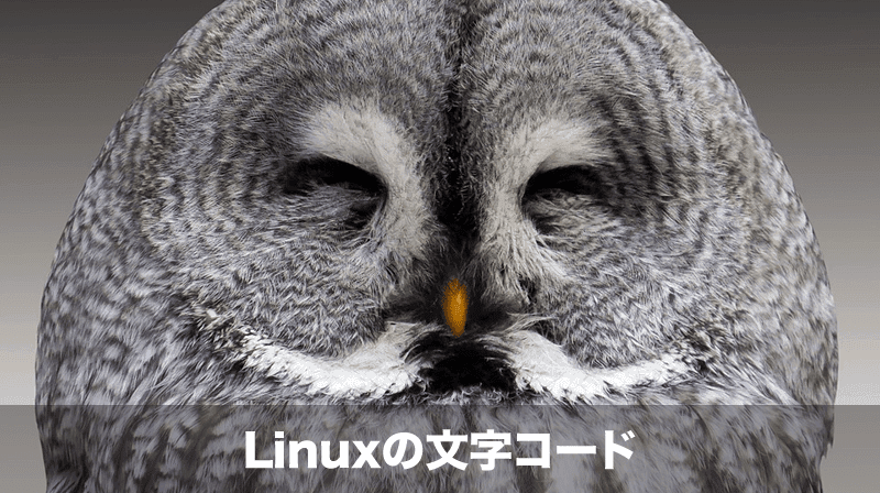 linuxの文字コード