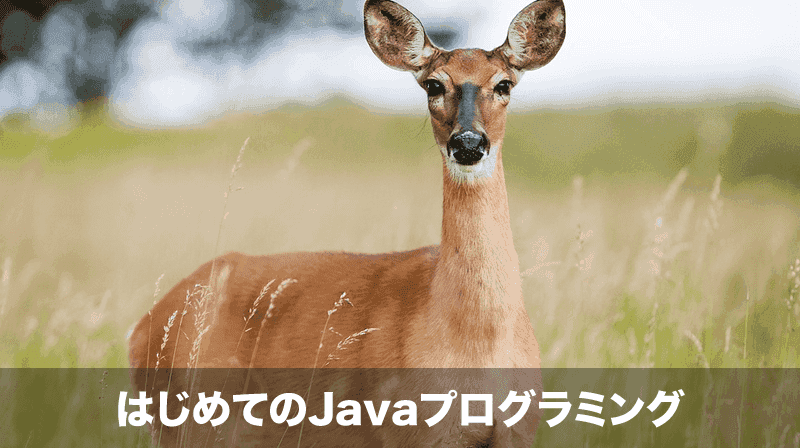 はじめてのJavaプログラミング