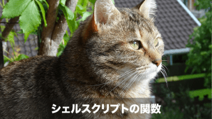 シェルスクリプトの関数