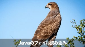java ファイル読み込み