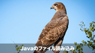 java ファイル読み込み