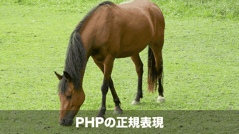 PHPの正規表現