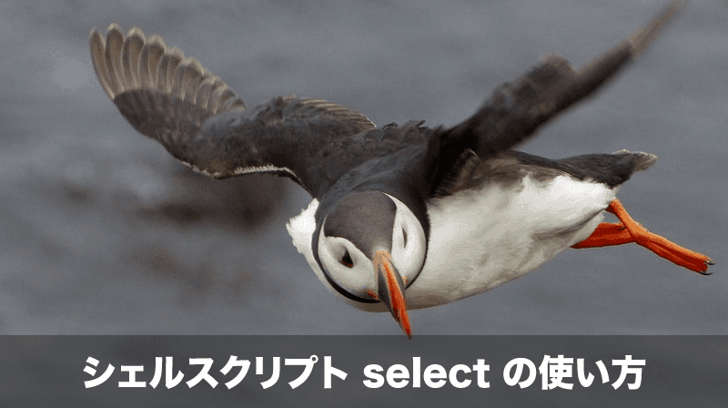 シェルスクリプトのselect