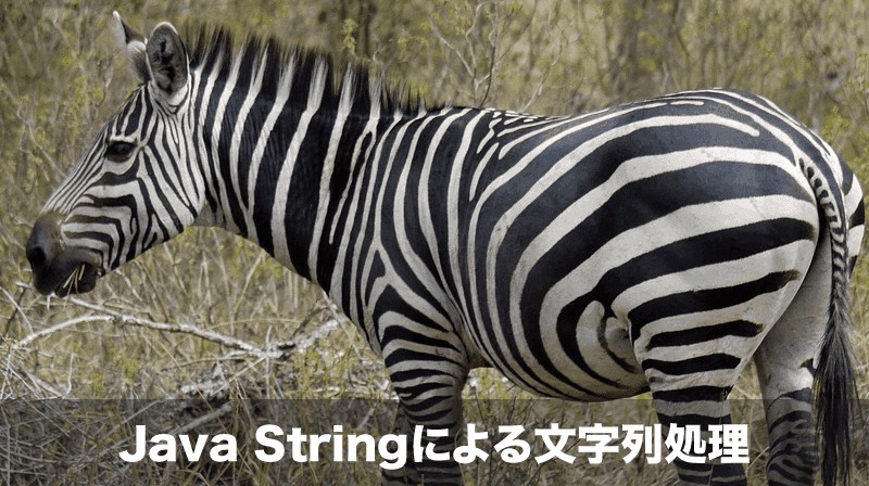 stringオブジェクト