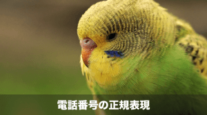 電話番号の正規表現