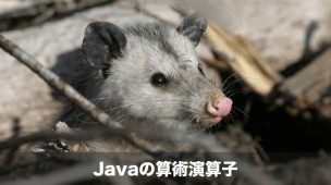 javaの算術演算子