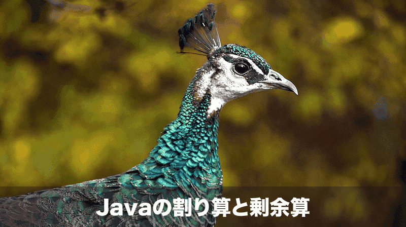Javaの割り算と剰余算の注意点