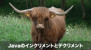 Javaのインクリメントとデクリメント