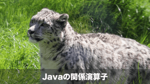 javaの比較演算子