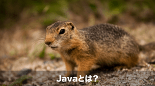 javaとは