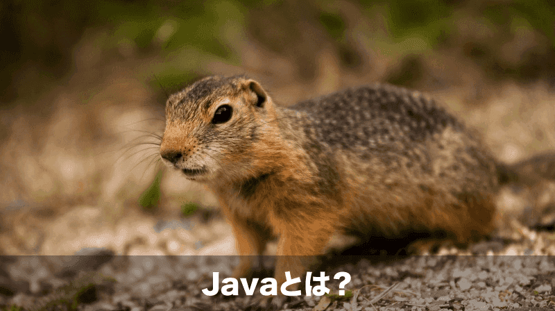 javaとは