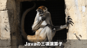 javaの三項演算子