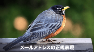 メールアドレスの正規表現