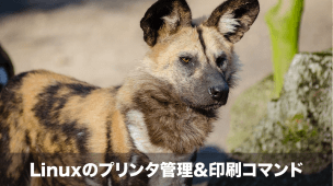 Linuxのプリンタ管理&印刷コマンド