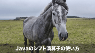 javaのshift演算子