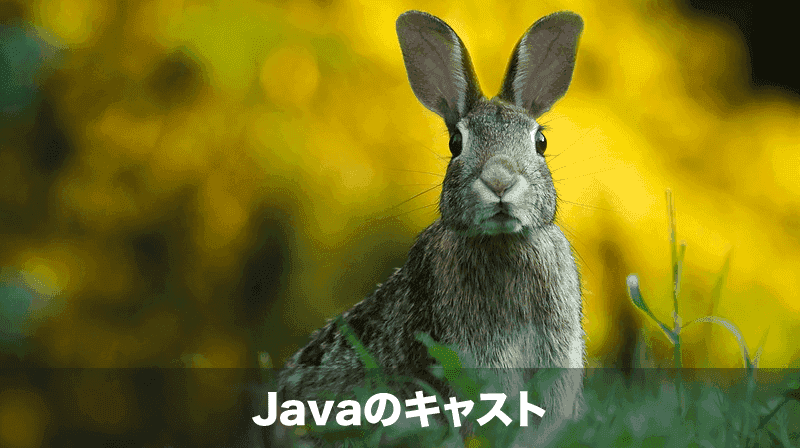 javaのcast