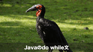 javaのdo while