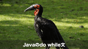 javaのdo while