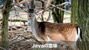 javaの意味