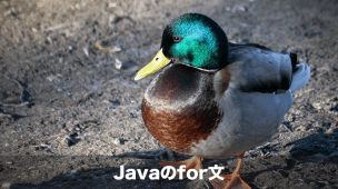 javaのfor文