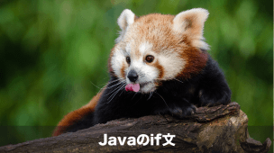 javaのif文